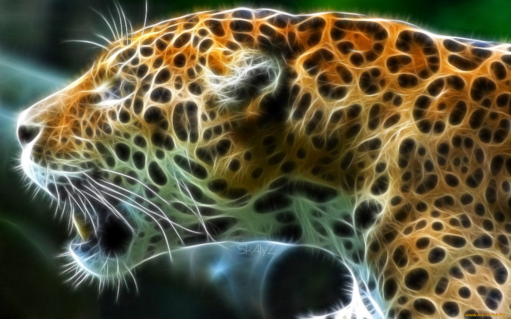3, , animals, 